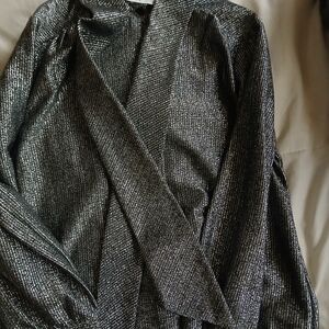 Shimmering Silver Button Down Shirt